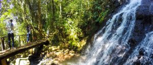 parque da cachoeira canela