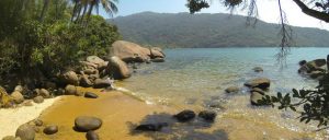 praia brava das palmas ilha grande