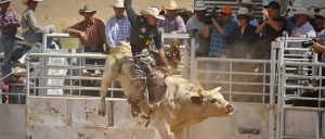 Vídeos de Rodeo Inesquecíveis