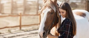 Como cuidar da crina de seu cavalo