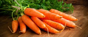 Começando uma plantação de Cenoura