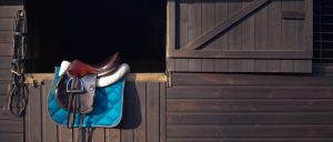 como encilhar cavalo passo a passo
