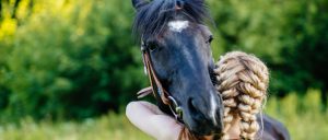 terapia com cavalos