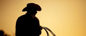cuidados-com-a-saude-do-cowboy