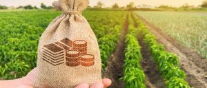 Agricultura Sustentável