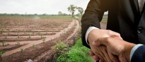 Cooperativa Agrícola
