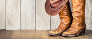 Botas e Botinas