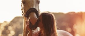 Cavalos