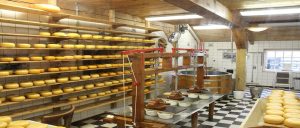 Produção de queijo