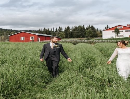 Casamento na fazenda: prepare essa celebração com nossas dicas