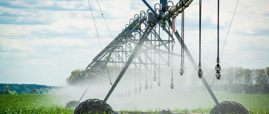 Exemplo de irrigação com pivô central