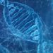 Melhoramento genético: imagem de um DNA