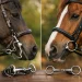 Freio ou bridão: qual usar no cavalo?