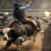 Montaria em touro: regras que valem na arena