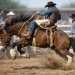 Regras do rodeio em cavalos sem confusão