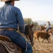Review jeans Wrangler para montaria