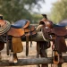Sela laço vs sela western: qual escolher?