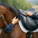 Como saber se a sela serve no cavalo