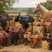8 melhores selas para cavalo quarto