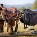 Sela western vs sela de passeio: qual escolher?