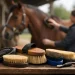 Guia de escovas para cavalo na lida diária