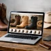 Qual é a melhor loja online de botas country?