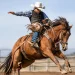 Rodeio em cavalos com técnica e segurança